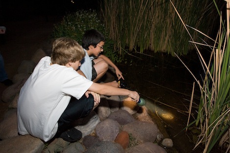 Desert Garden on Garden Flashlight Tours When 06 30 2012 Where Desert Botanical Garden