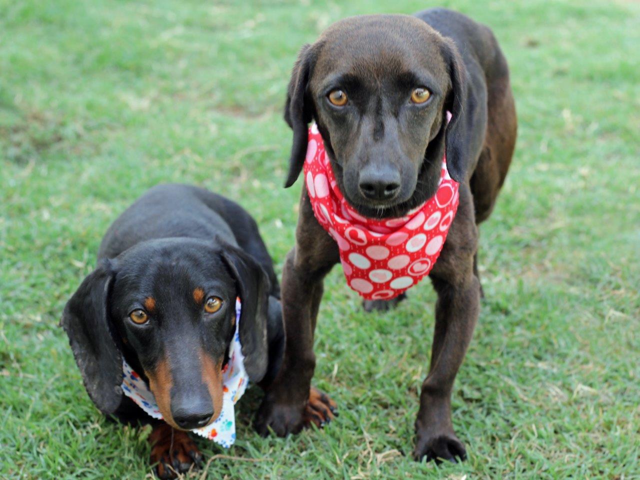 Donny and Greta -A435795-794 3558
