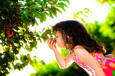 10-Things-Schnepf-Farms-Peach-Smelling-Children