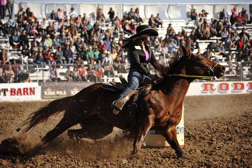 491 FallonTaylor 2-26-12