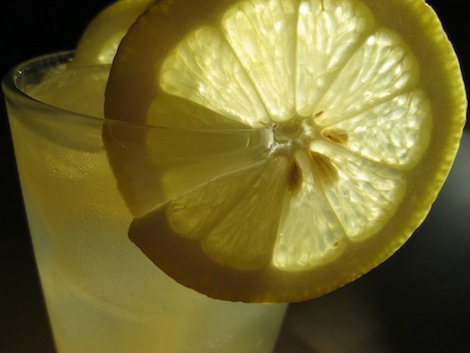 Echinacea Lemonade