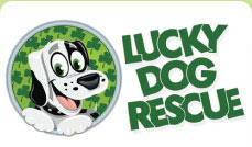 luckydog