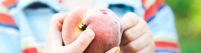 peach-season