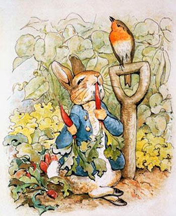 Beatrix Potter Décor