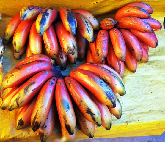 red banana fruit