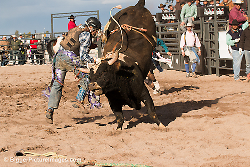 IMG_0556 LR