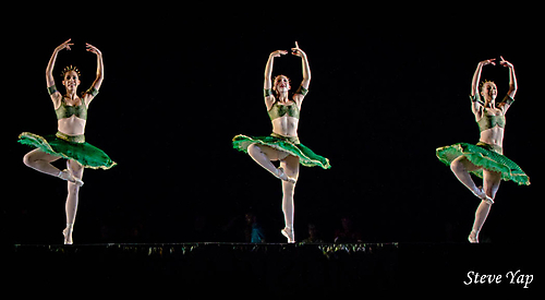 Gallery - Ballet Under The Stars - Picture: AF3A1577