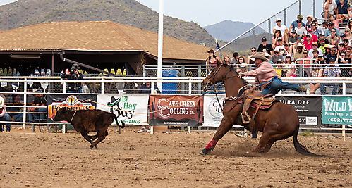 P3293295_1774970282_69cbe5aa86e27