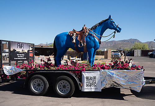 P3211596_1774469502_69c4417e28690
