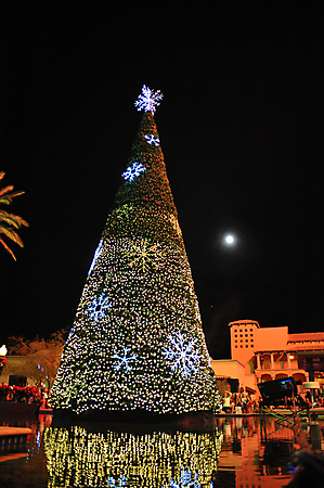 Princess Tree Lighting AZ-55