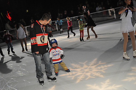 Princess Tree Lighting AZ-76