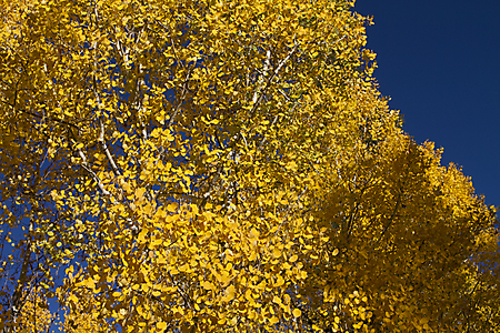 IMG_9349 LR