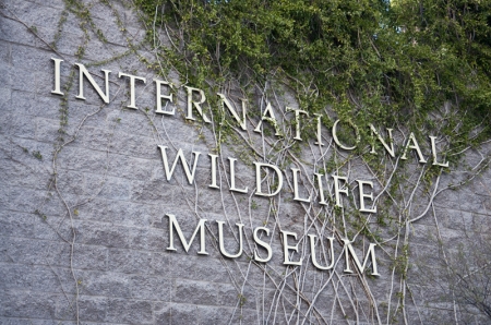 IWM_71