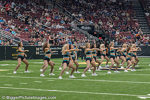 IMG_3760-SAI-Motion