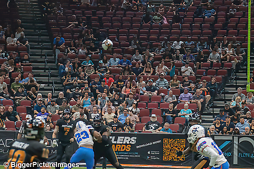 IMG_3831-denoise-denoise_1776068183_69dca6579a09c