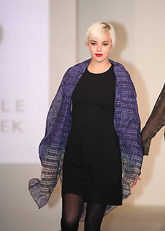 wearable-art-walk-2009-scottsdale_41