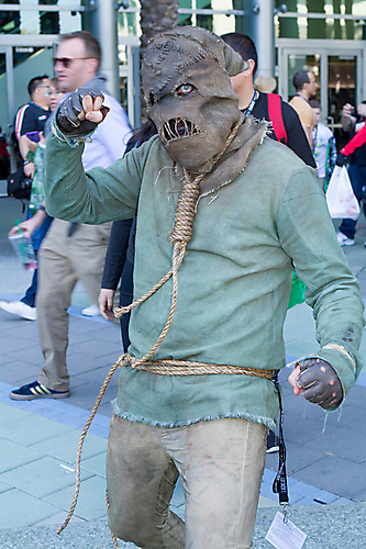 IMG_2481