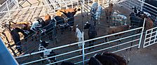 P3271701_1774970336_69cbe5e0c3d75