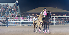P3271796_1774970361_69cbe5f954c49