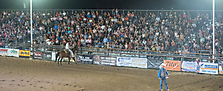 P3271861_1774970364_69cbe5fca5a67