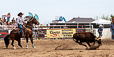 P3292922_1774970476_69cbe66c1522f