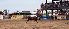 P3292930_1774970476_69cbe66cdfca5
