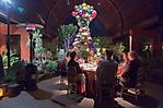 0763dinner_on_the_desert