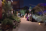 0769dinner_on_the_desert