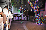 Princess Tree Lighting AZ-80