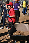 IMG_0595