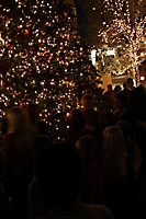 motelucia-tree-lighting-scottsdale-2009_50