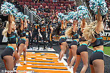Rattlers Win!