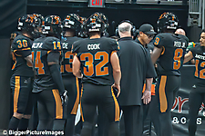 22_IMG_3463-denoise-denoise_1776068028_69dca5bc7c2f6