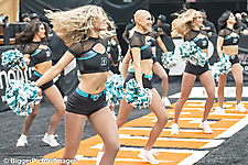 25_IMG_3522-denoise-denoise_1776068038_69dca5c6baa71