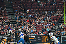 IMG_3831-denoise-denoise_1776068183_69dca6579a09c