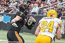 IMG_4232-denoise-denoise_1777329129_69efe3e959eb1