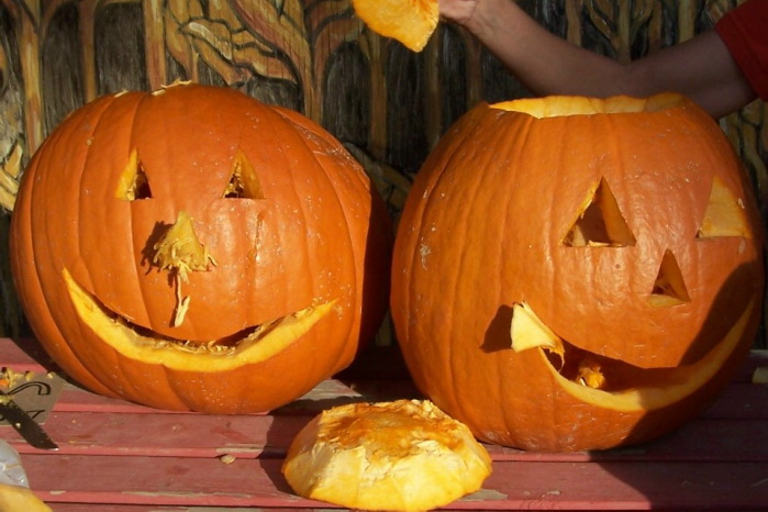 10 things pumpkin days and corn maze.jpeg