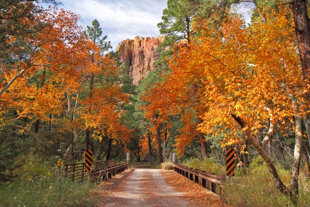 Where To See Fall Colors In Arizona