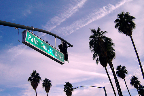 palm canyon drive