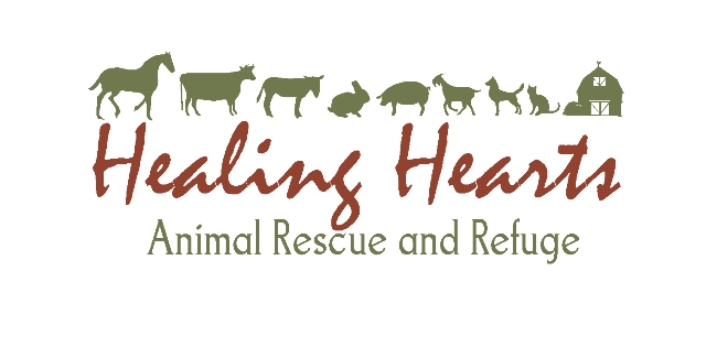 AZ Giving Spotlight: Jen Brumbaugh of Healing Hearts Animal Rescue and ...