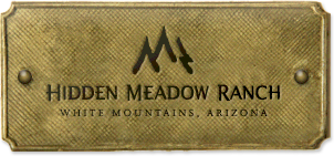 image001.png