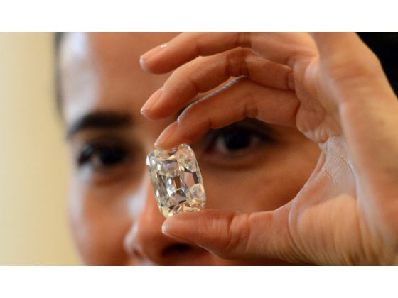 Alfredo Molina Sets Record by Selling $21.5 Million Diamond