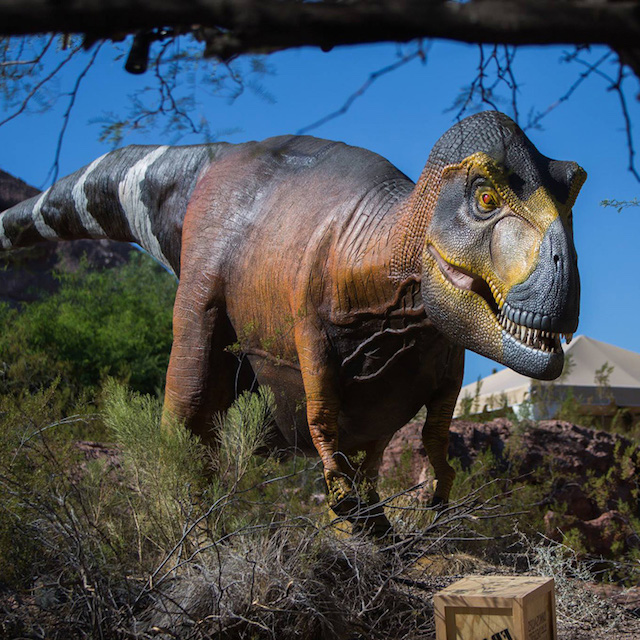phoenix-zoo-dinosaurs.jpg