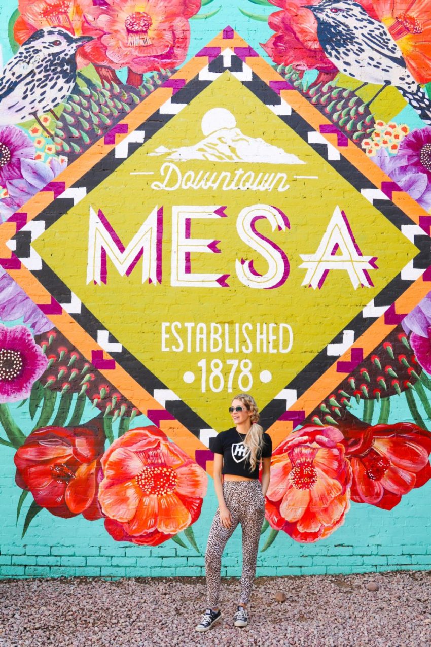 Visit Mesa Piles on the Spring Training and Spring Break Specials