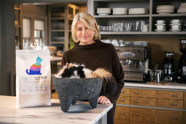 martha stewart cat toys